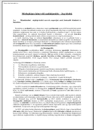 Mérlegképes könyvelő