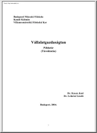 BMF Kasza-Lehotai - Vállalatgazdaságtan példatár, megoldással, 2004
