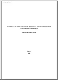 Nádaskiné dr. Szakmár Katalin -