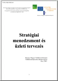 Stratégiai menedzsment és üzleti