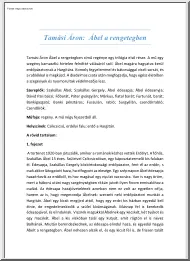 Tamási Áron, Ábel a rengetegben