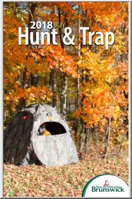 Hunt and Trap
