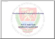 Prof. Dr. Szabó Gyula -