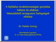 Dr. Fekete György - A fejlődési