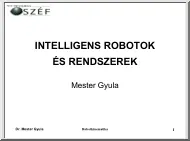 Mester Gyula - Robotmanipulátorok