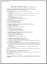 Munkajog szigorlati jegyzet, 2005