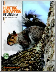 Hunting and Trapping in Virginia