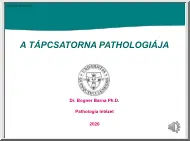 Dr. Bogner Barna Ph.D. - A tápcsatorna