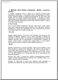A mérges ízeltlábúak (darazsak