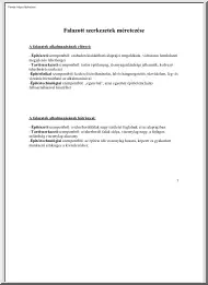 Falazott szerkezetek méretezése